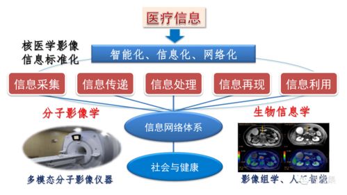 核醫學與人工智能 基礎軟件開發驅動下的融合與變革